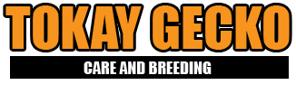 TOKAY GECKO - Care and Breeding